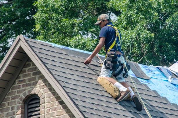Best Gutter Installation and Roofing  in Dublin, PA
